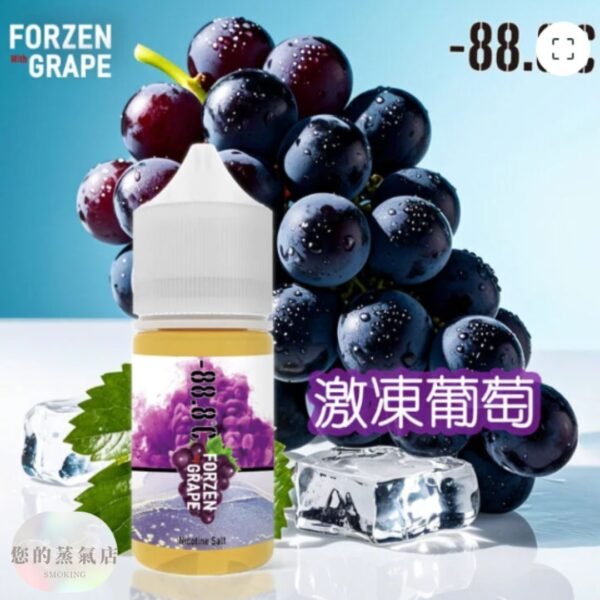 1 雪梨小煙油 小煙油 電子煙小油 888小油 蒸氣世代 果汁公園 鋼鐵果