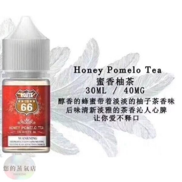 美國66公路小煙油 DER小煙油 美國ROUTE66煙油 美國原裝 小煙油 小菸油 電子煙油 DER小煙油 LANA煙彈 LANA油 小煙油 DER GENESIS 賴桑油 獨角獸小油 果汁公園 潮流商城